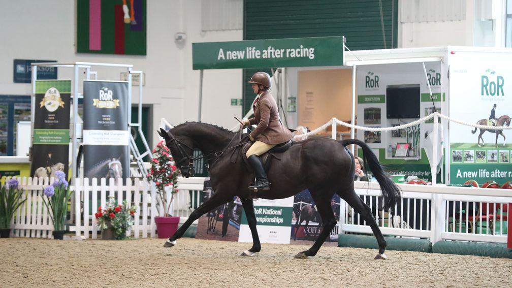 Don Cossack shows off his style at the Retraining of Racehorses Goffs UK National Championships