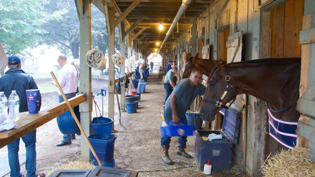 The bustling stables at Saratoga Springs