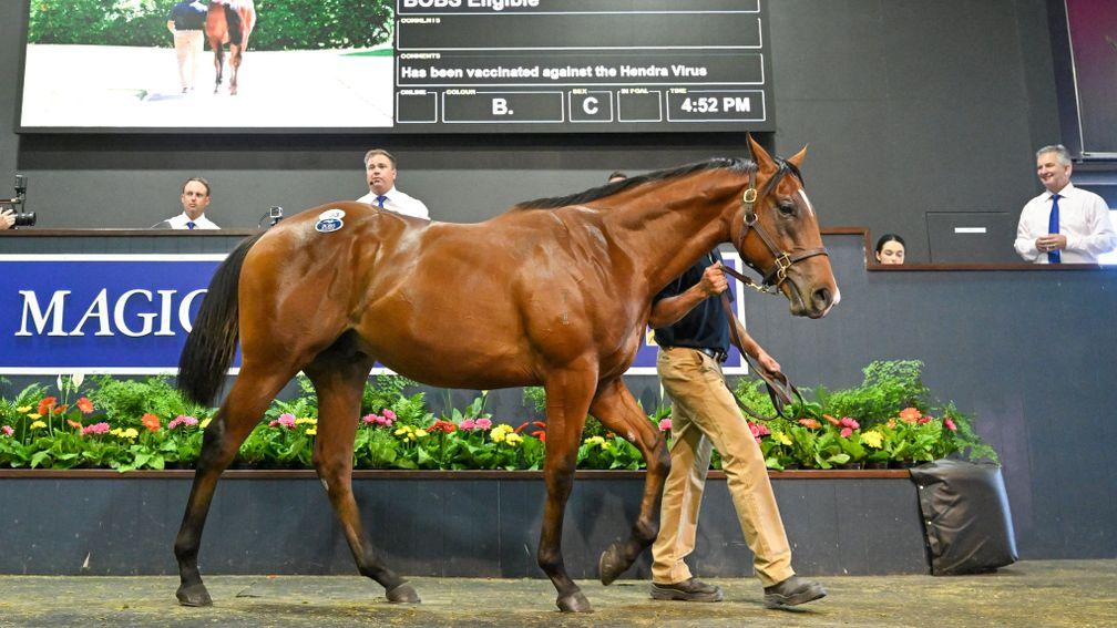 The I Am Invincible colt out of Mossfun tops the first day of the Magic Millions Yearling Sale