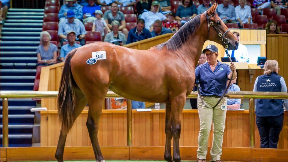 The well-bred Zoustar filly attracted international interest