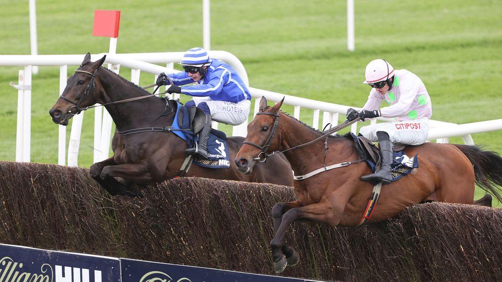 Energumene (left): claims victory in Punchestown's Champion Chase over Chacun Pour Soi