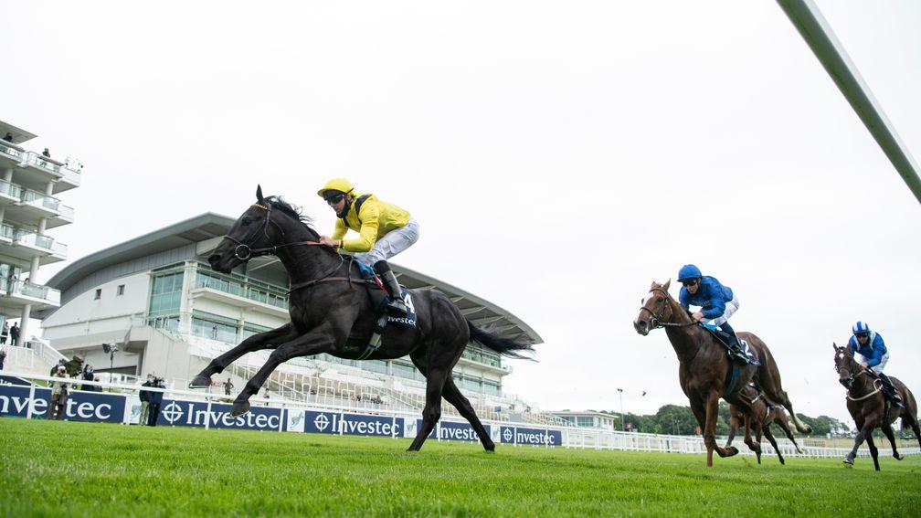 Twaasol (yellow): winner of the Woodcote on Derby day