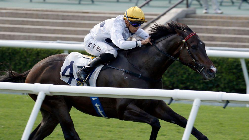 Golden Sixty wins his ninth consecutive race, the Group 2 Oriental Watch Sha Tin Trophy Handicap in October