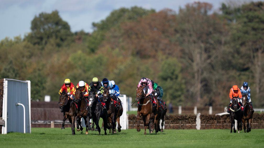 Gifted Angel (green cap) leads over the third-last in the hands of Gavin Sheehan