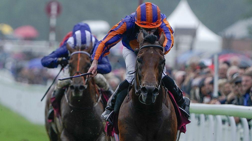 Paddington: made it six wins in a row in the Sussex Stakes