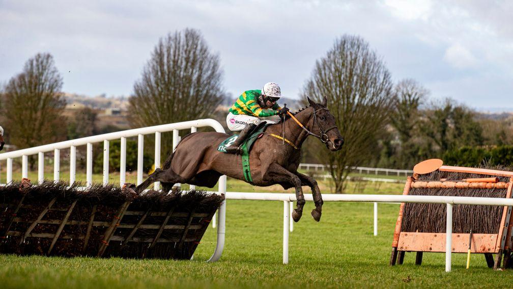 Thedevilscoachman: impressive winner at Naas last month