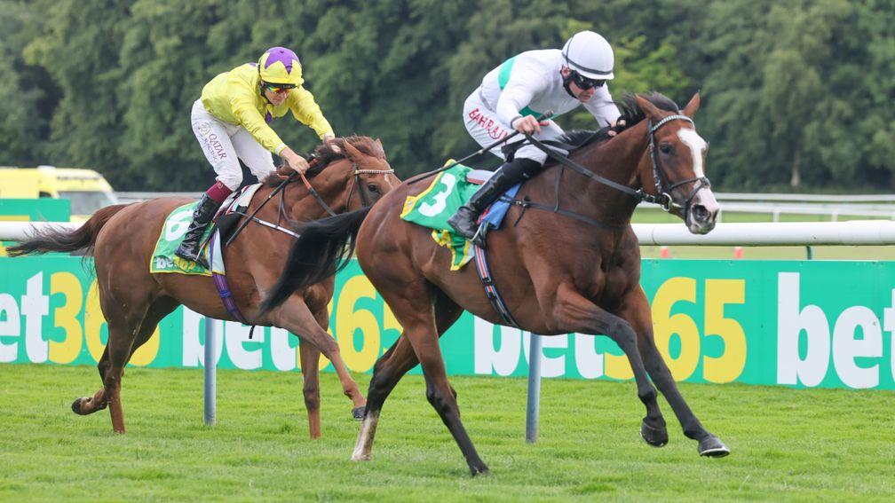Free Wind: leads the market for Saturday's Lillie Langtry Stakes