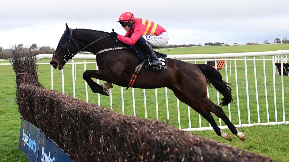 Klassical Dream: made an impressive start to his chasing career at Thurles