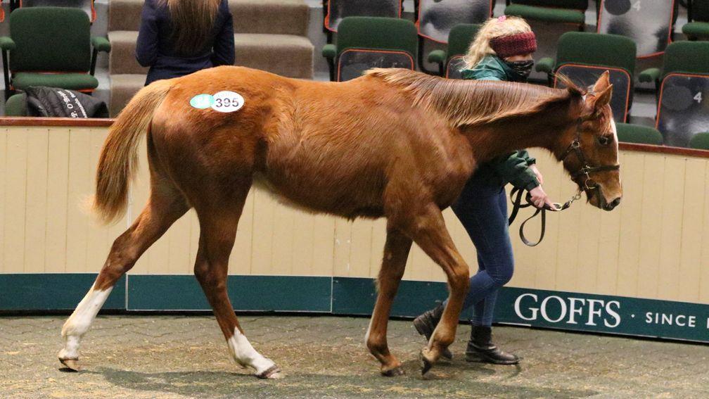 This Decorated Knight filly out of Prix de l'Abbaye winner Gilt Edge Girl made €62,000
