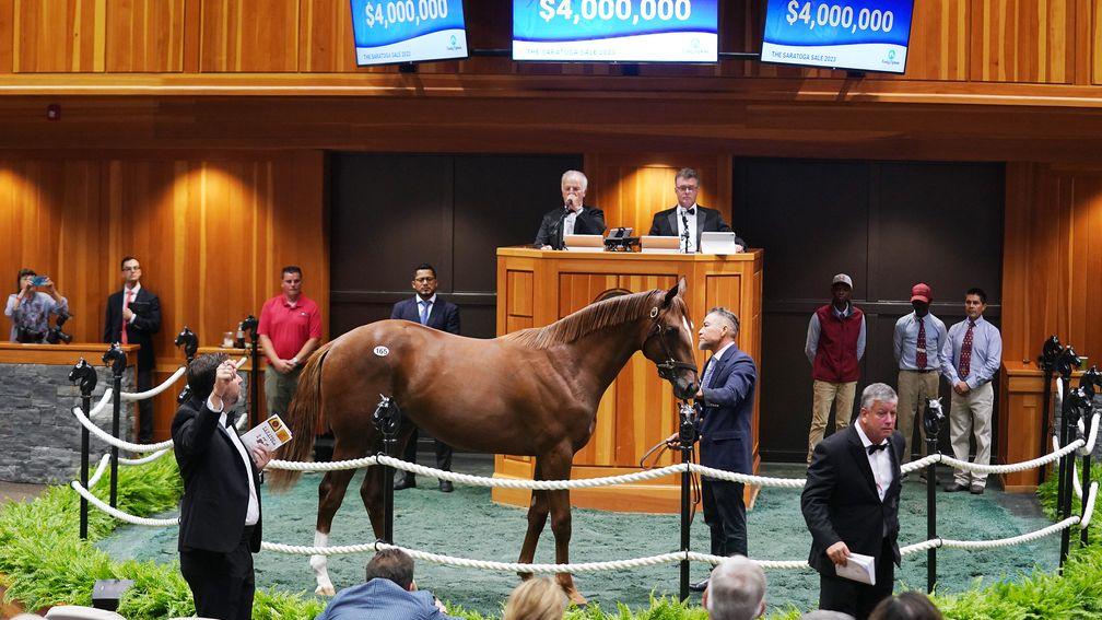 The Curlin colt out of champion Beholder sells to Zedan Racing for $4 million at the Fasig-Tipton Saratoga Sale