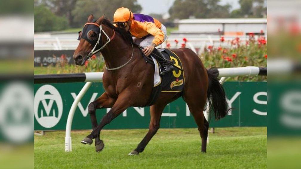The Team Hawkes-trained Irukandji lands the Group 3 Schweppervescence at Rosehill on Saturday