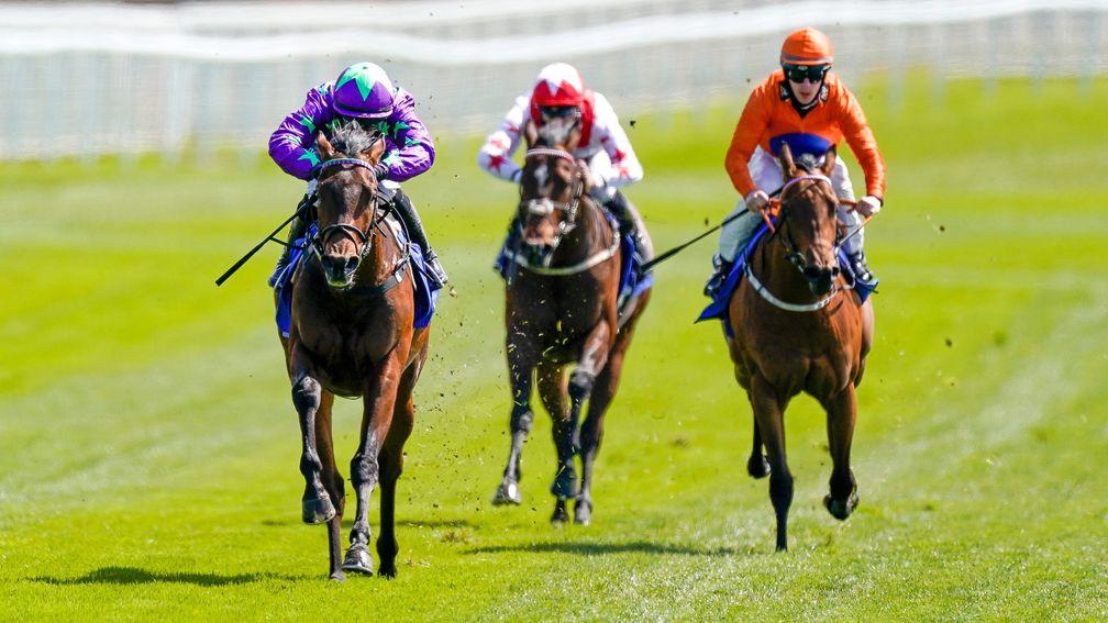 Navello (left): bids for a four-timer in the Listed National Stakes at Sandown