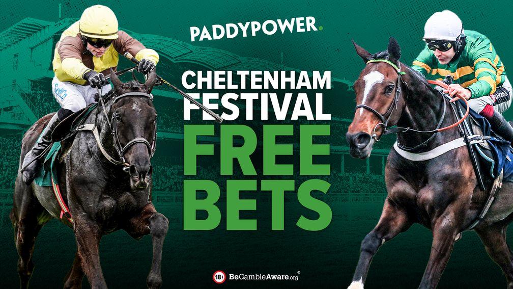 Paddy Power - Cheltenham Free Bets