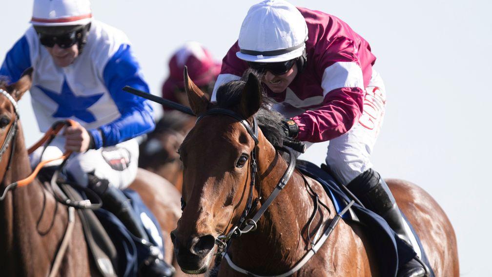 Uhtred: won a valuable Fairyhouse bumper on his debut back in April 2019