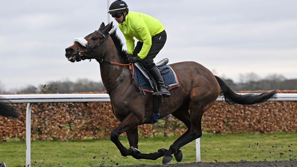 Marie's Rock works at Kempton on Tuesday