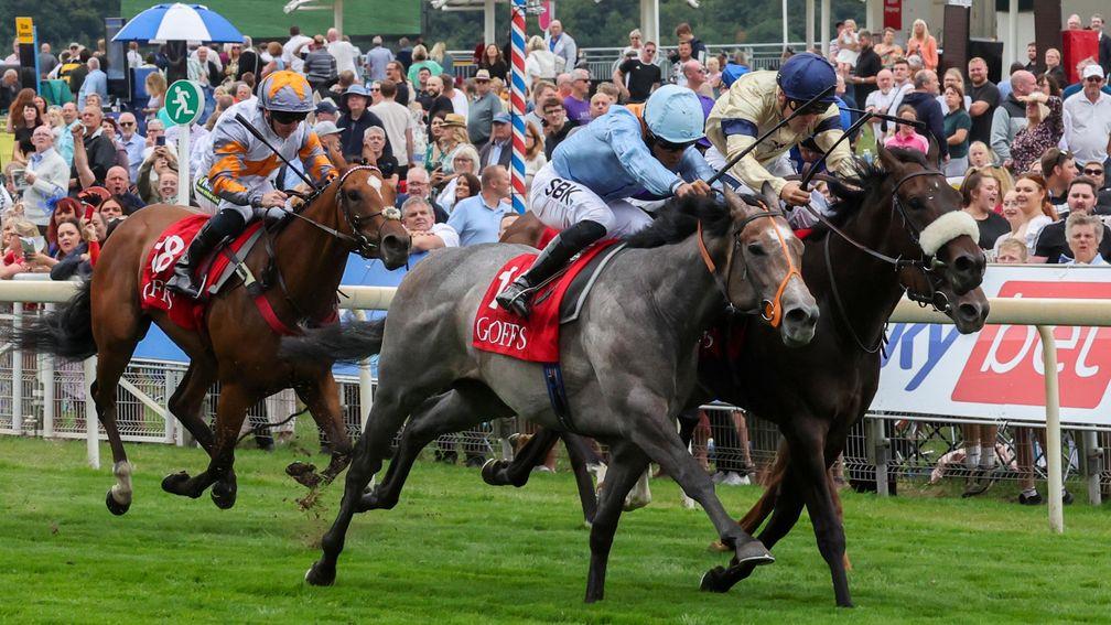 SHOULDVEBEENARING and Aean Levey win the Goffs Stakes for Trainer Richard Hannon at York 18/8/22Photograph by Grossick Racing Photography 0771 046 1723