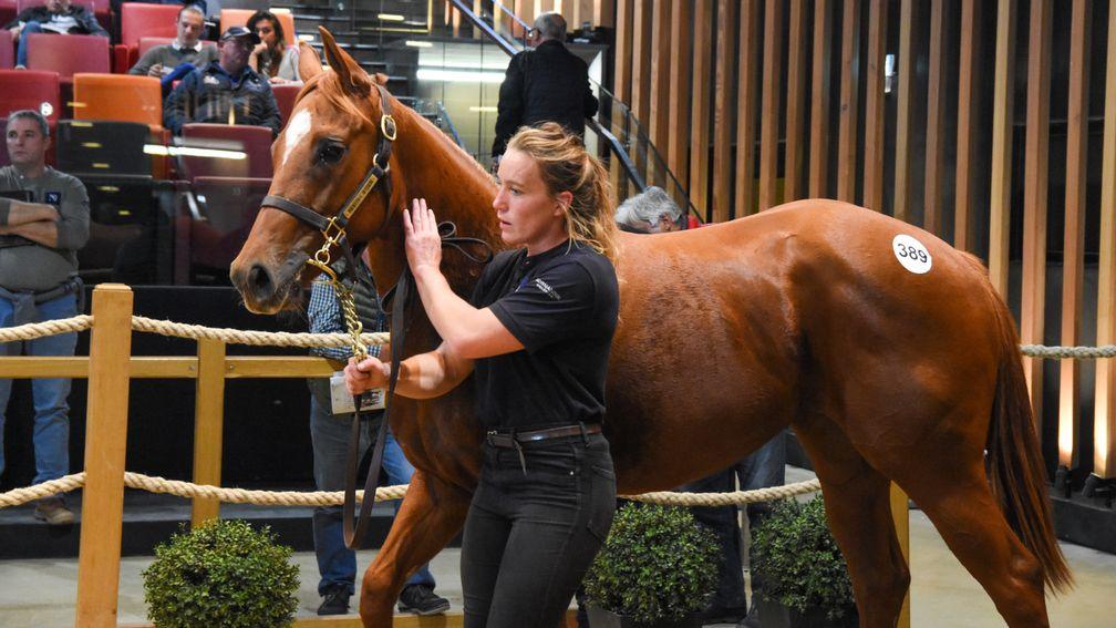 Federico Barberini won out at €75,000 in the battle for a daughter of Soldier's Call at Arqana