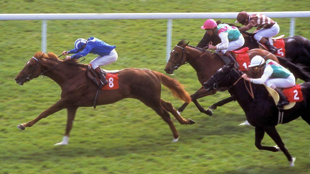 Nashwan and Willie Carson stretch clear to win the Newmarket Classic