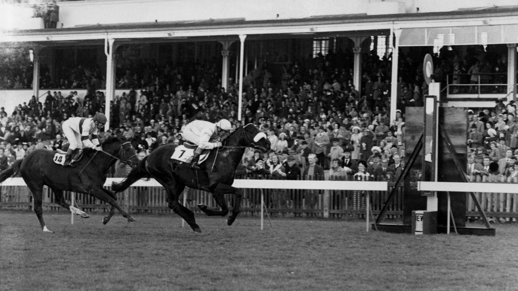Earl of Sefton Stakes Newmarket 11/04/73 Scottish Rifle wins from Royal Prerogative. Copyright Alec Russell.
