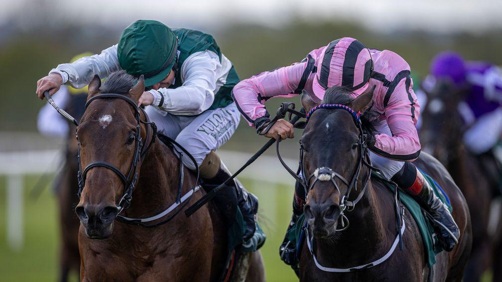 Givemethebeatboys (Shane Foley, left) wins the Committed Stakes from Betsen at Navan