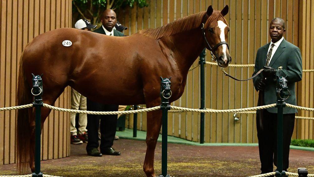 Zipessa: one of eight seven-figure lots sold on day one of the November Sale