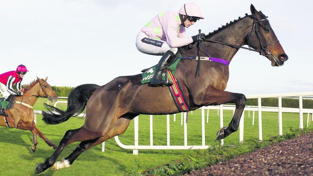 Douvan: could return at Pucnhestown