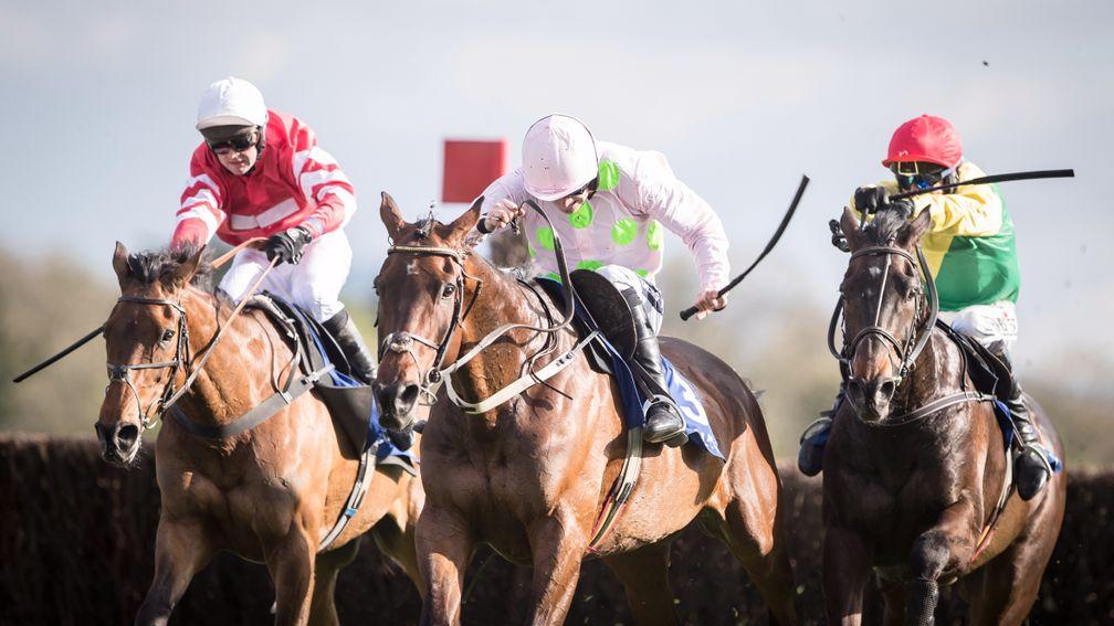 Djakadam (centre): chasing a third straight win in the John Durkan Chase