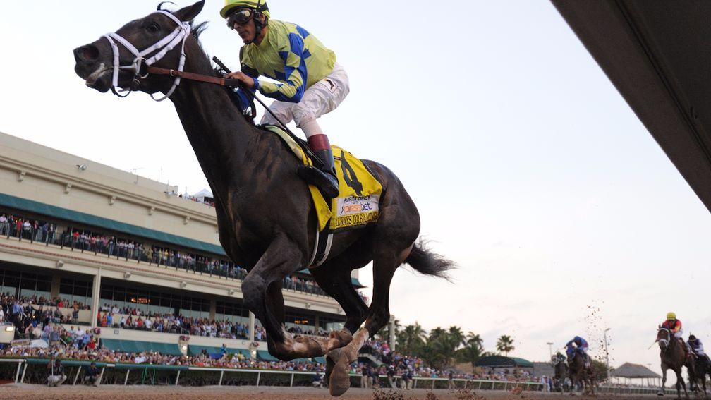 Always Dreaming: can he last home where his sire Bodemeister ran out of gas in the Kentucky Derby?