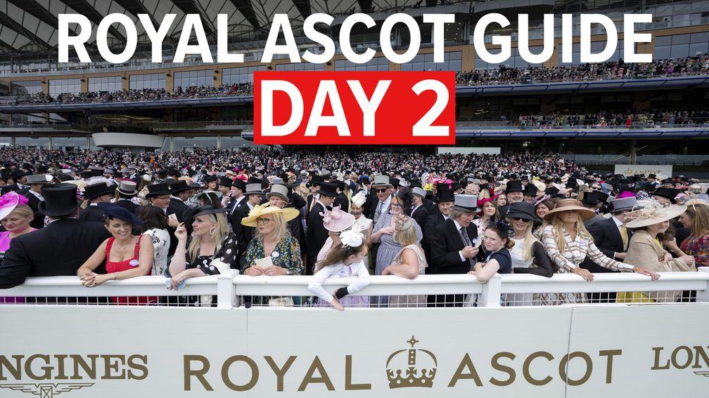 ascot tips today