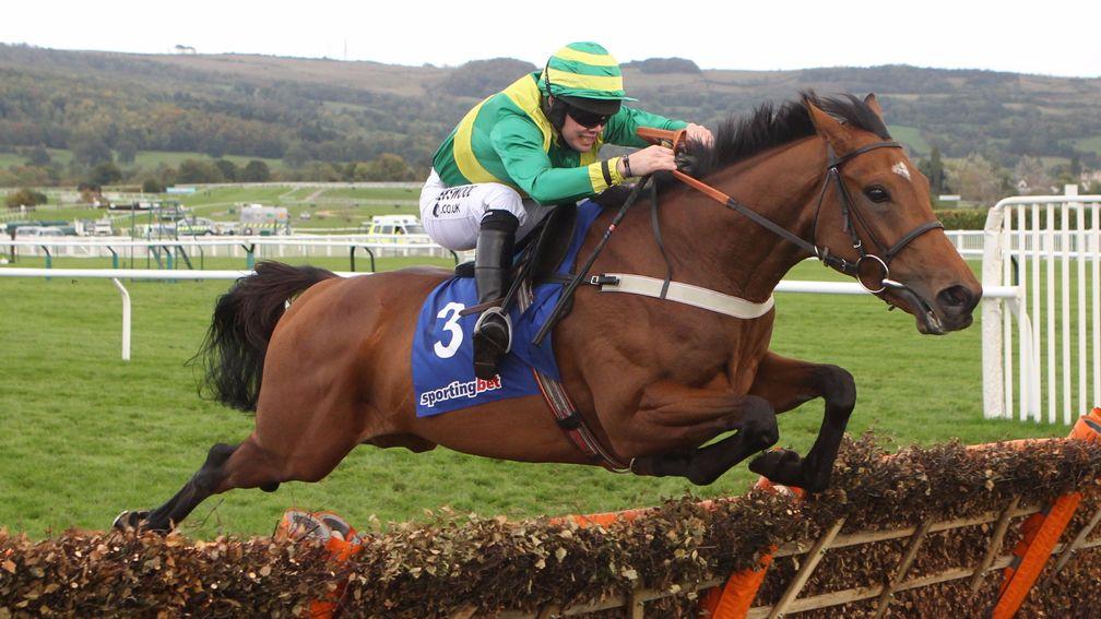 Clerk's Choice on his way to the Cheltenham win in October 2010 that sparked all the excitement