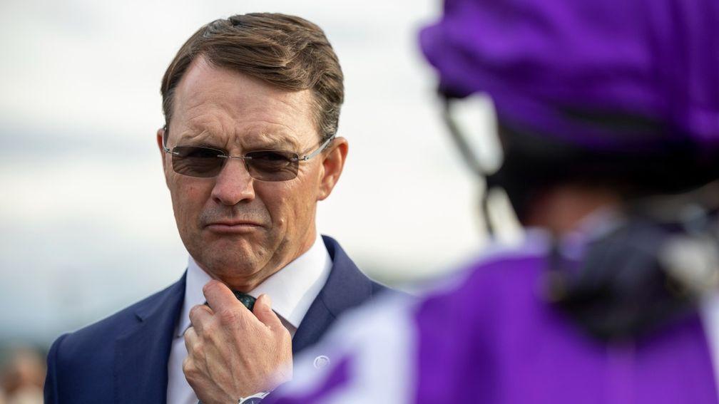 Aidan O'Brien: will have high hopes for Auguste Rodin in the Vertem Futurity Stakes
