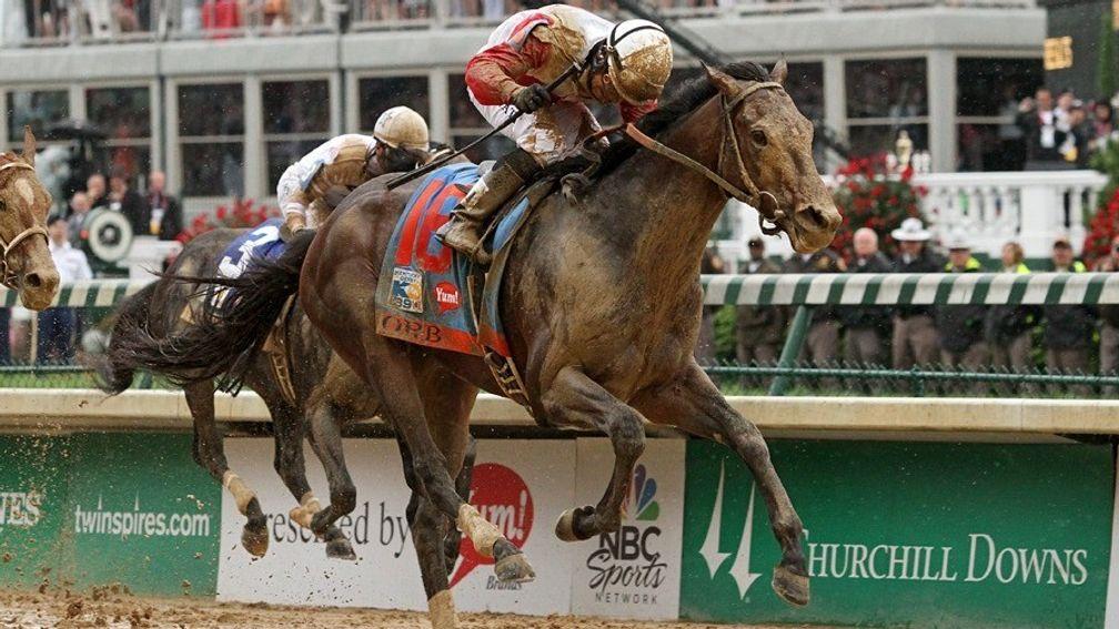 Punters will have seven days to study the declared field and draw for the Kentucky Derby 