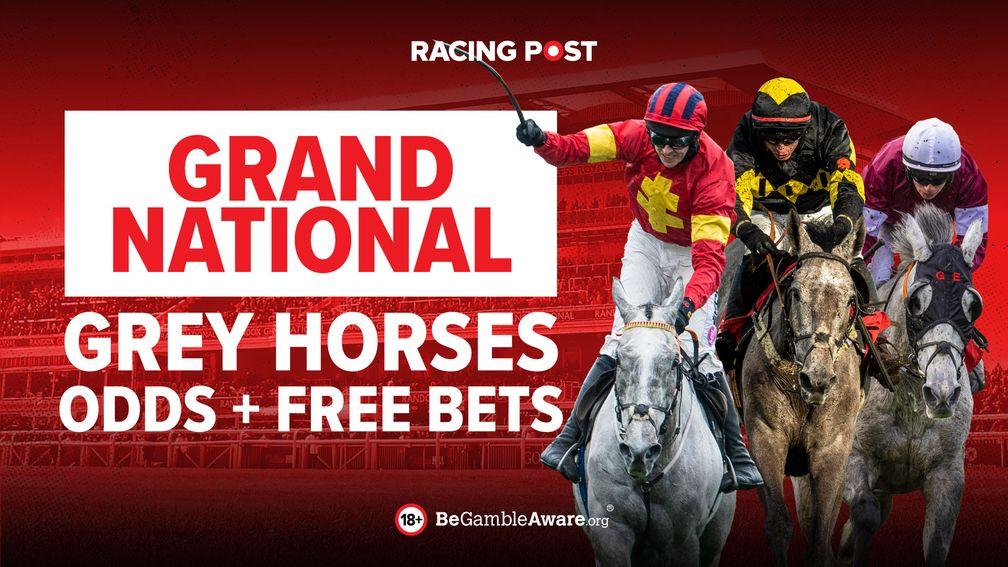 Grey Horses Grand National Favourites + Free Bet