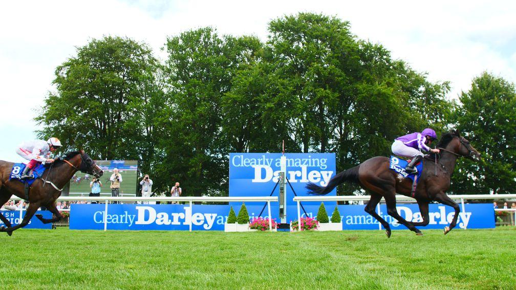 Ten Sovereigns is now the top-rated horse in Ireland following his Darley July Cup success