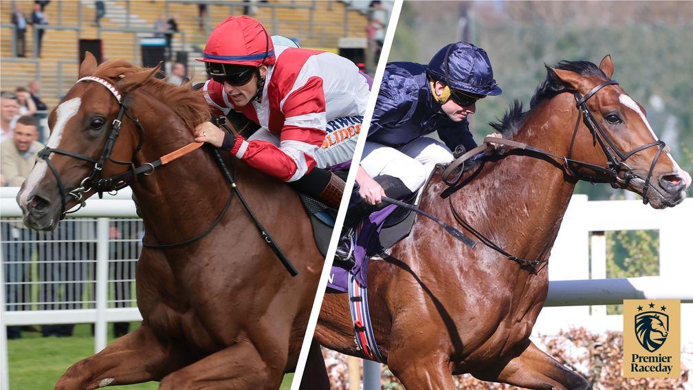King's Gambit (left) and Chantilly: leading London Gold Cup contenders