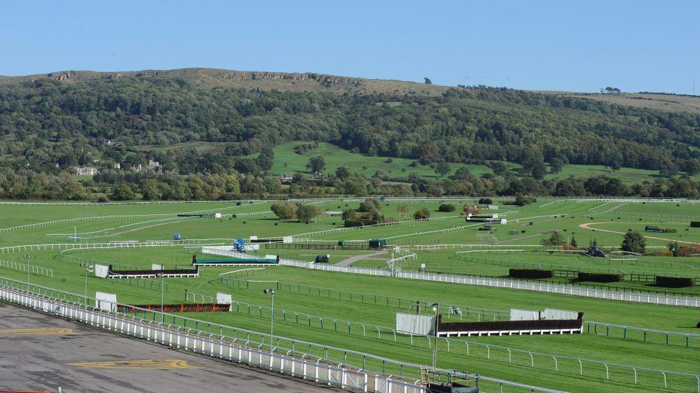 Cheltenham's second-last fence (left of picture) on the Old course will be moved eight metres closer to the final fence (right)