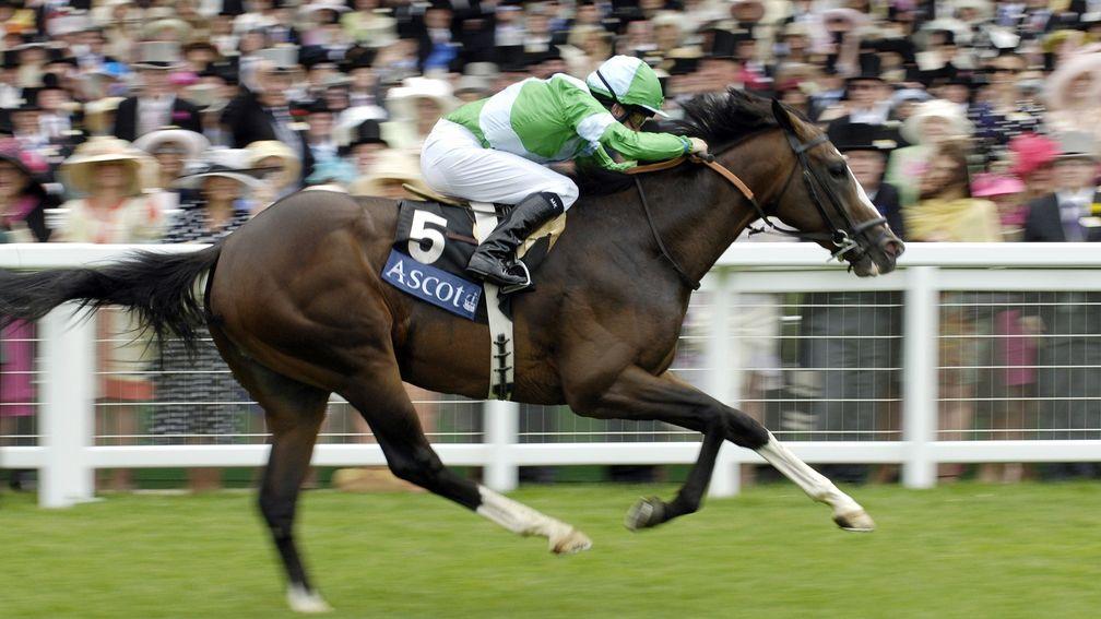 Jeremy was a class act as a racehorse, here winning the Jersey at Royal Ascot, and his legacy as a jumps sire despite his death aged only 11 is growing