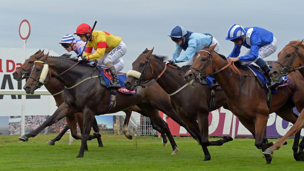 Alpha Delphini (white cheekpieces): winning the Beverley Bullet last year
