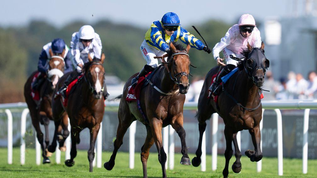 Trueshan: won the Doncaster Cup