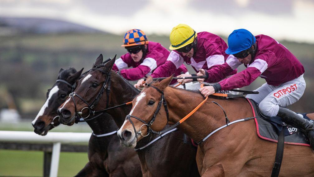 Gigginstown's Dounikos (near side), Wishmoor and General Principle finish 1-2-3 in the 2019 Grand National Trial at Punchestown in which the owners fielded six runners and Gordon Elliott saddled five