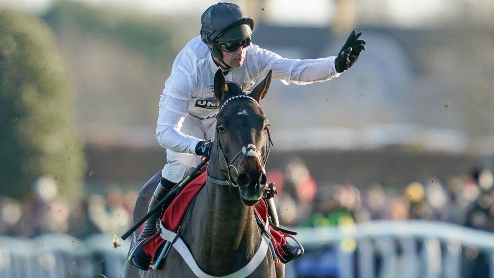 Constitution Hill: favourite for next month's Champion Hurdle