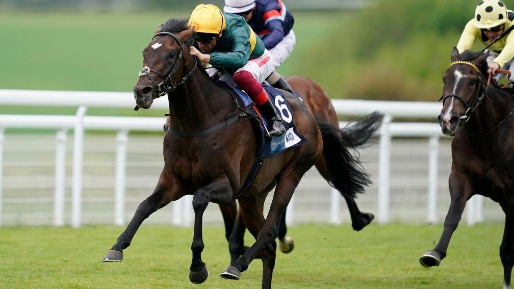 Private Secretary: one of Dettori's leading chances on Friday