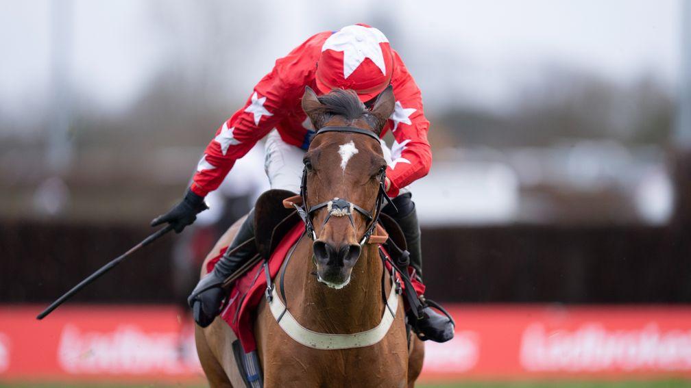 Editeur Du Gite: supplemented for the Clarence House Chase