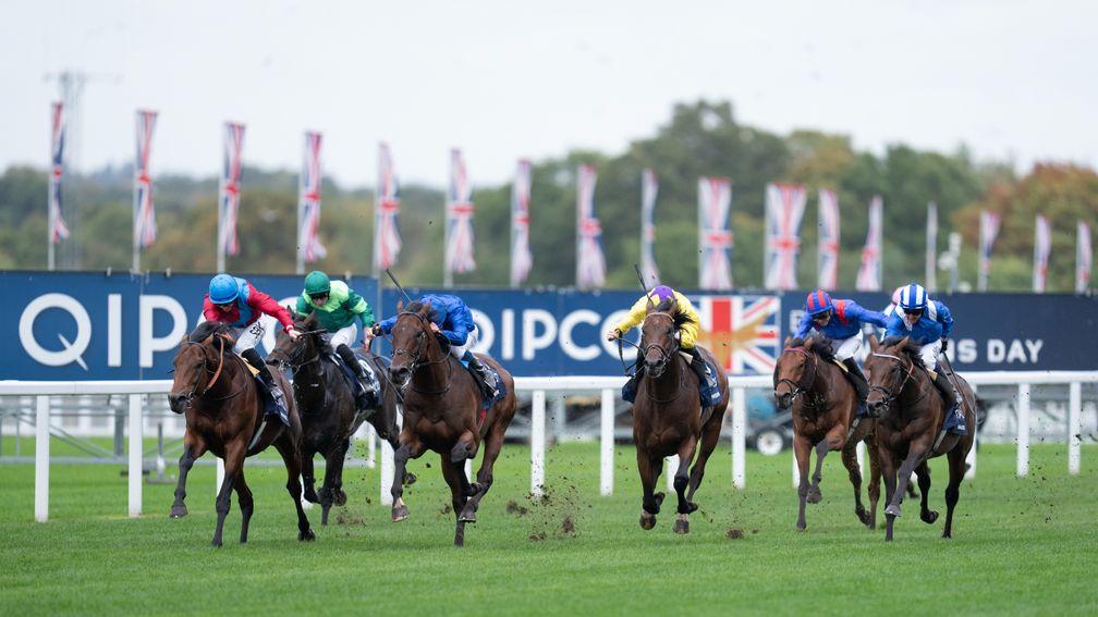 Bay Bridge (left) bids for a repeat in the Qipco Champion Stakes at Ascot on Saturday