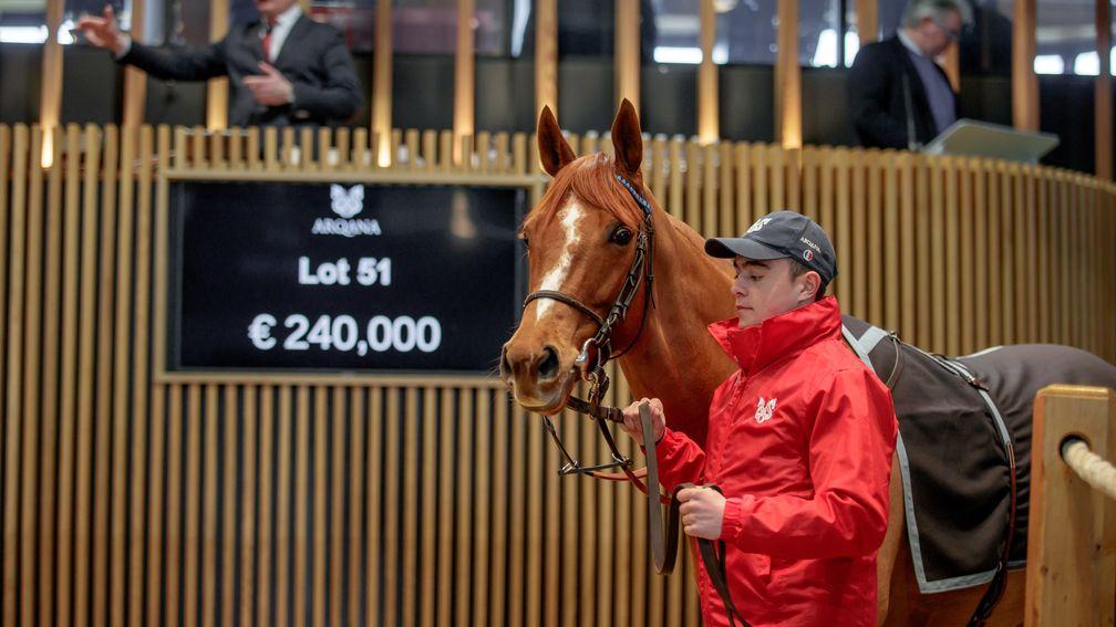 Prix de l'Abbaye runner-up Aire De Valse was the star on day one at Arqana