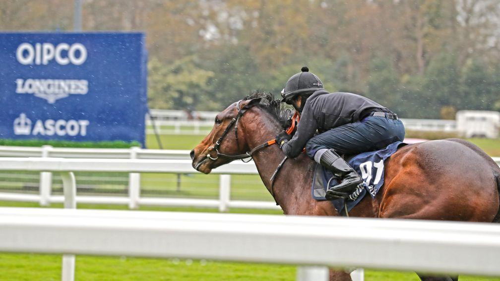 The sale-topping Swiss Spirit colt breezes through the rain up the Ascot home straight