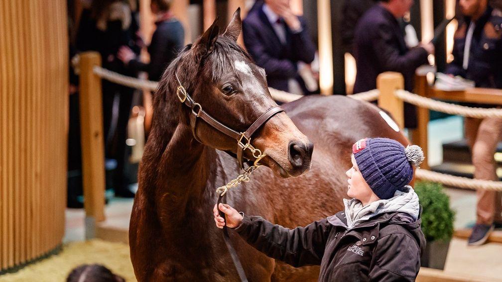 Phiz: well-related daughter of Galileo is headed to Minster Stud