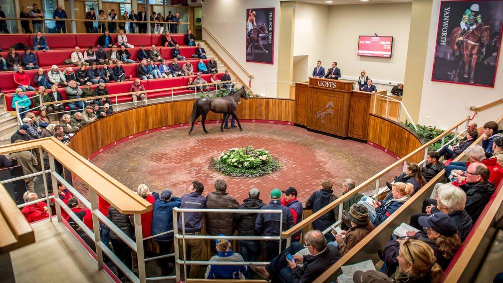 The clearance rate on Thursday improved significantly from Wednesday's yearling session