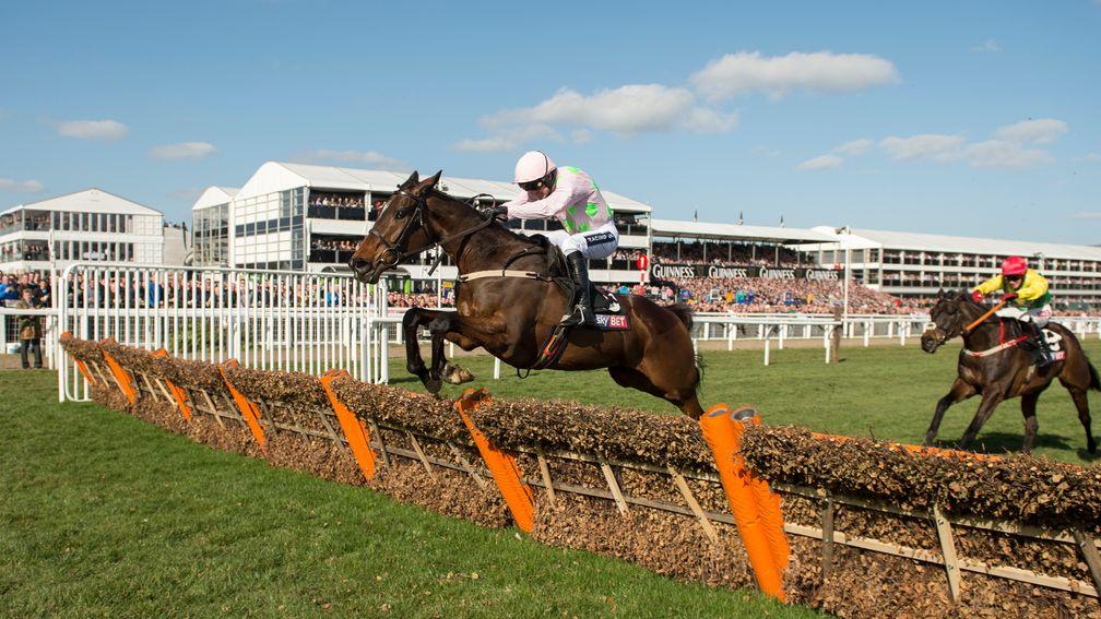 Douvan wings the final flight in the 2015 Supreme Novices' Hurdle