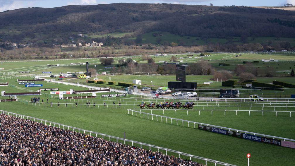 The runners in the Supreme Novices Hurdle race away from the packed stands at Cheltenham 